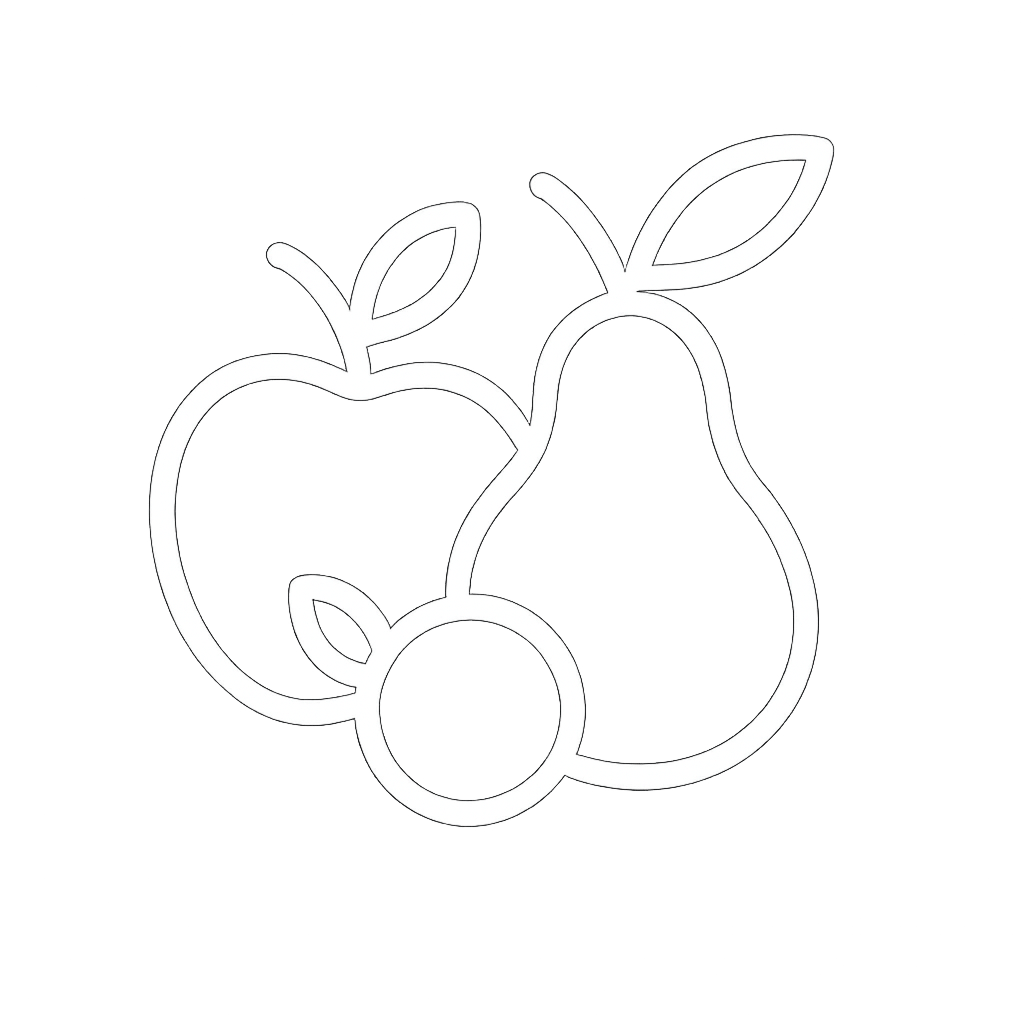 Outline of cinnamon sticks and a star anise on a black background.