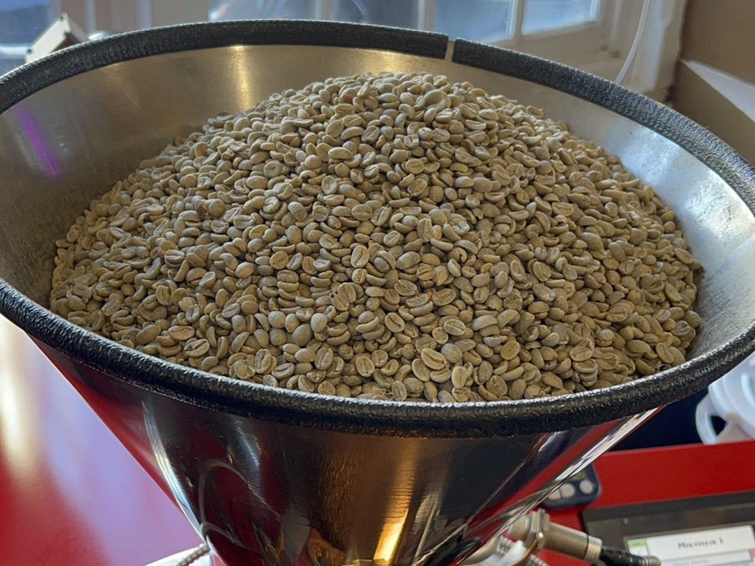 Where Can You Get the Best Arabica Coffee?